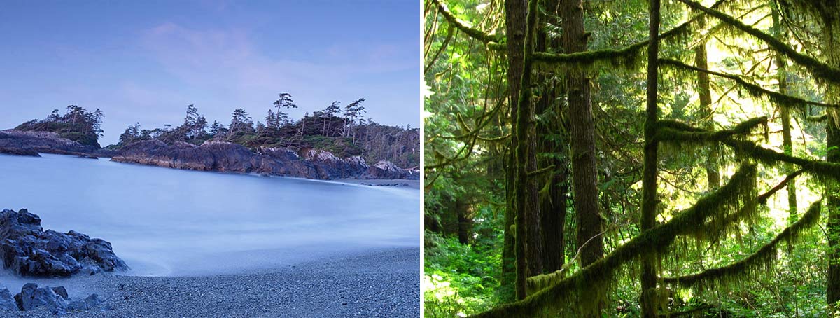 Pacific Rim National Park Reserve, British Columbia